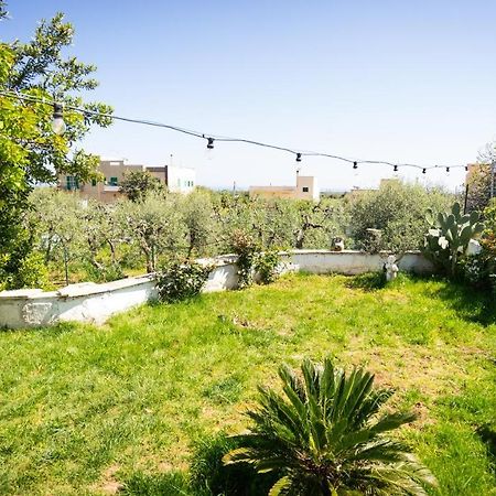 모노폴리 Green House B&B 외부 사진