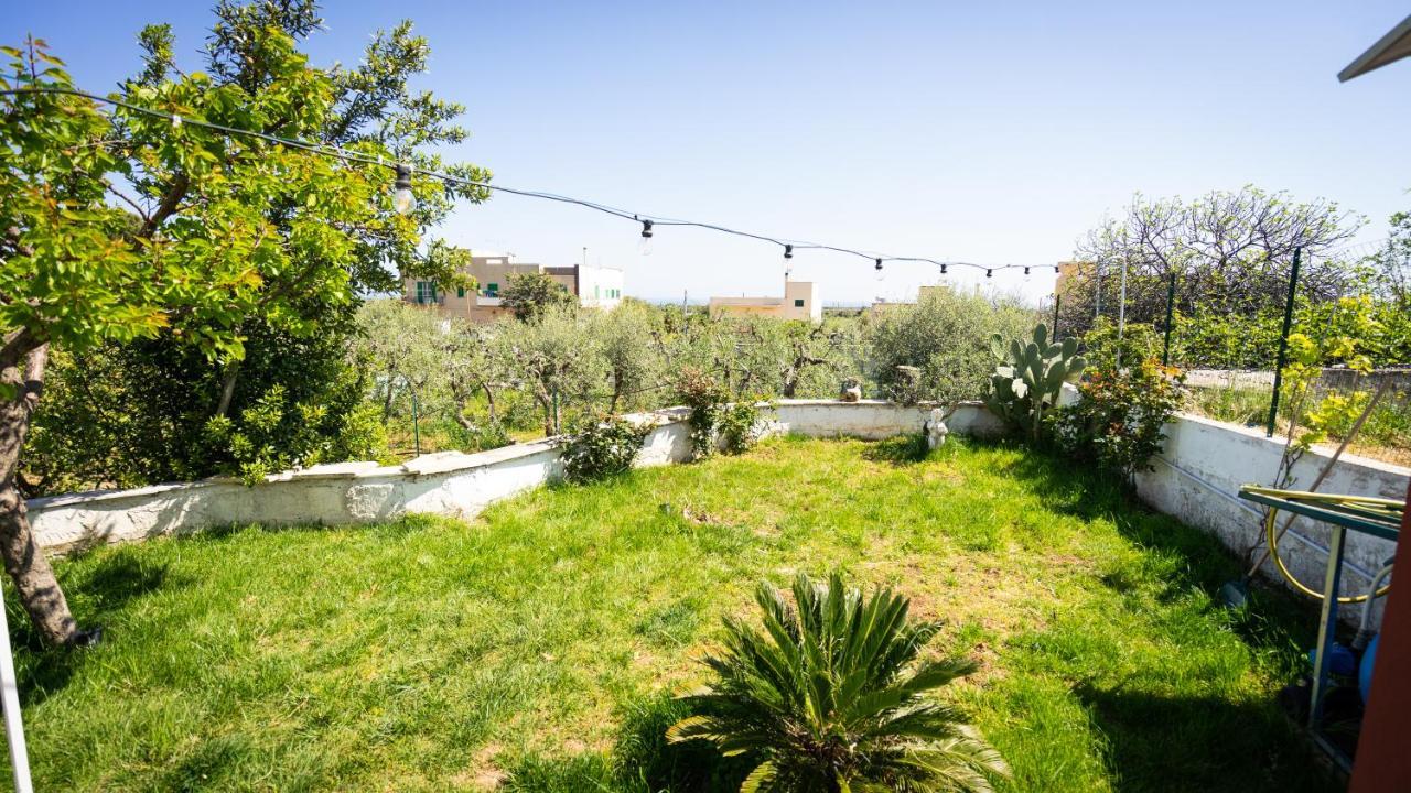 모노폴리 Green House B&B 외부 사진