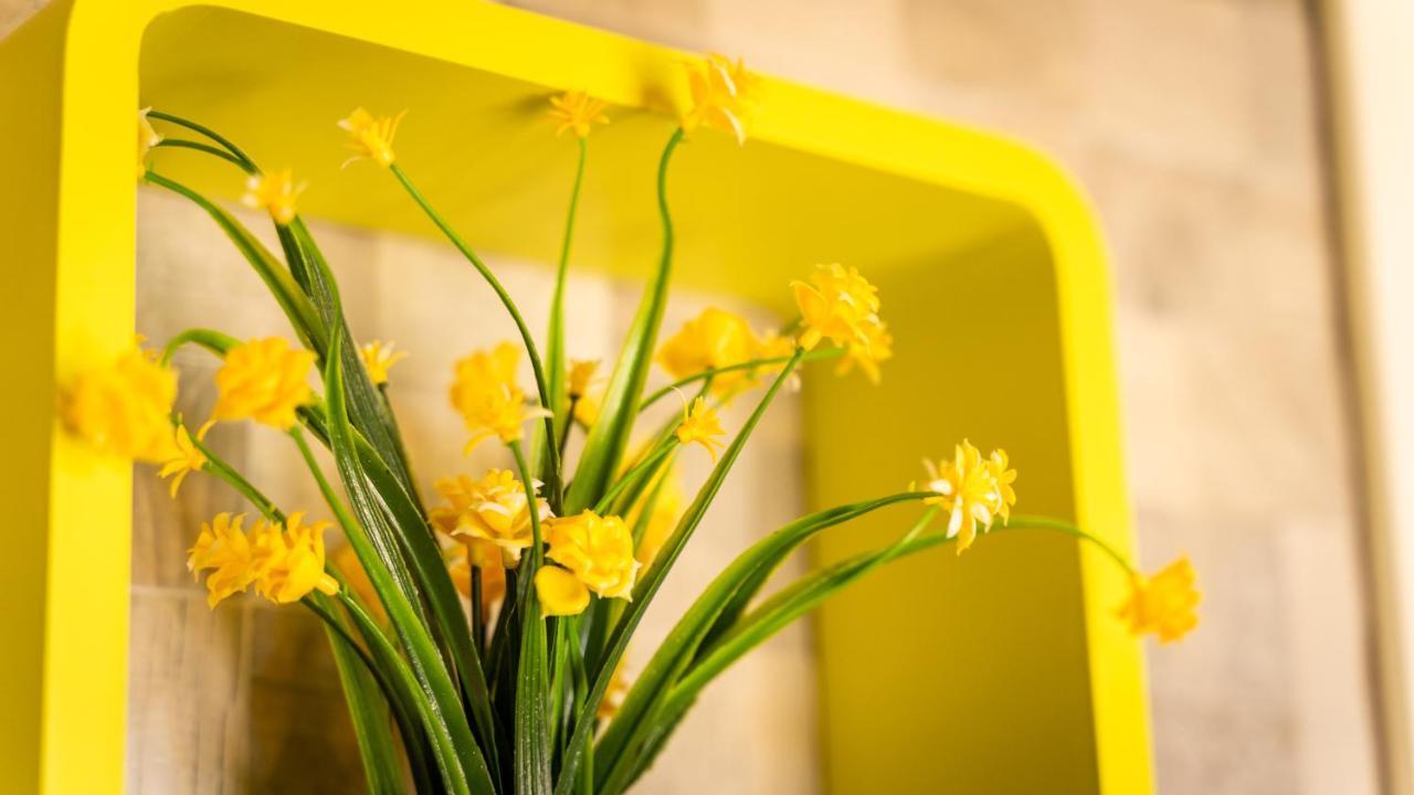 모노폴리 Green House B&B 외부 사진
