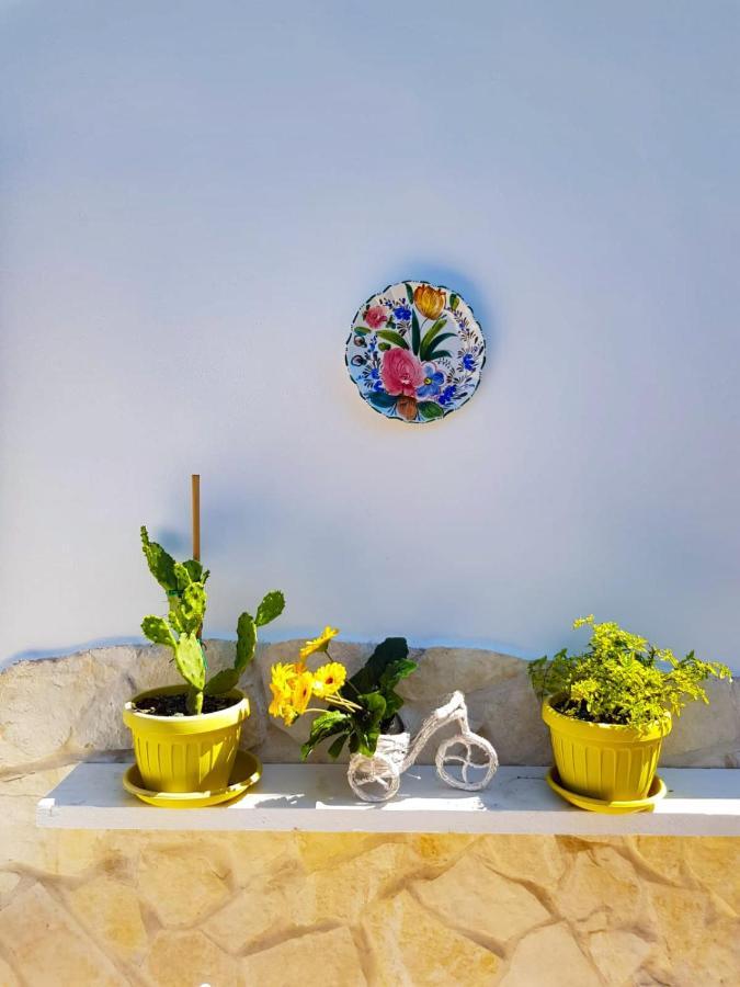 모노폴리 Green House B&B 외부 사진